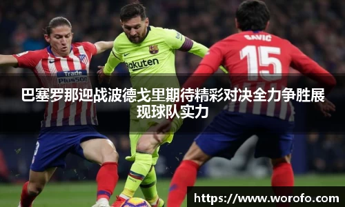 智博19有限公司